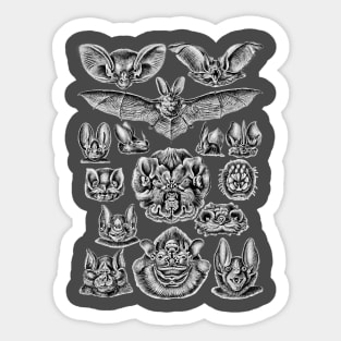 Ernst Haeckel Bats Sticker